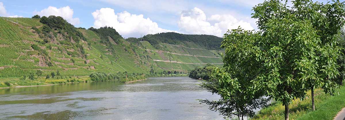 Mosellandschaft