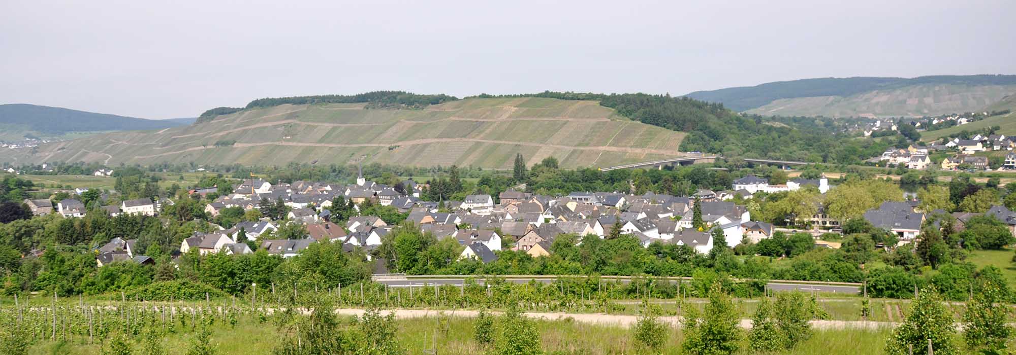 Mülheim Mosel
