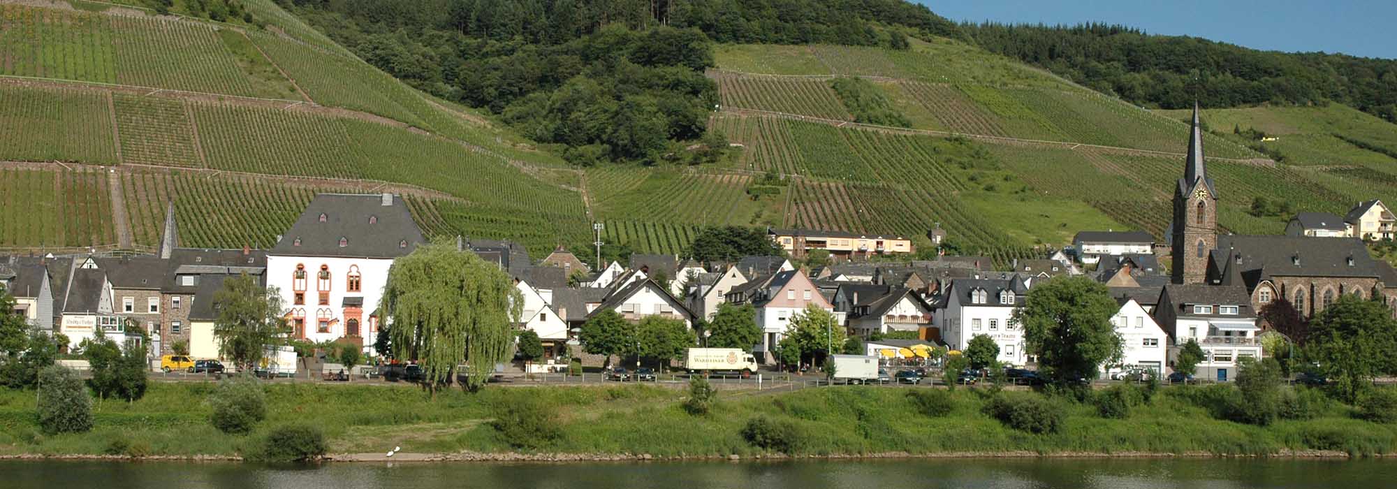 Neef Mosel