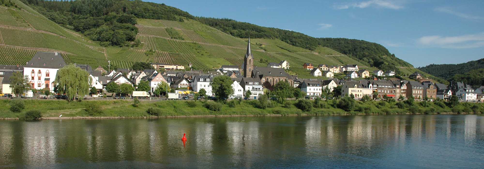 Neef Mosel
