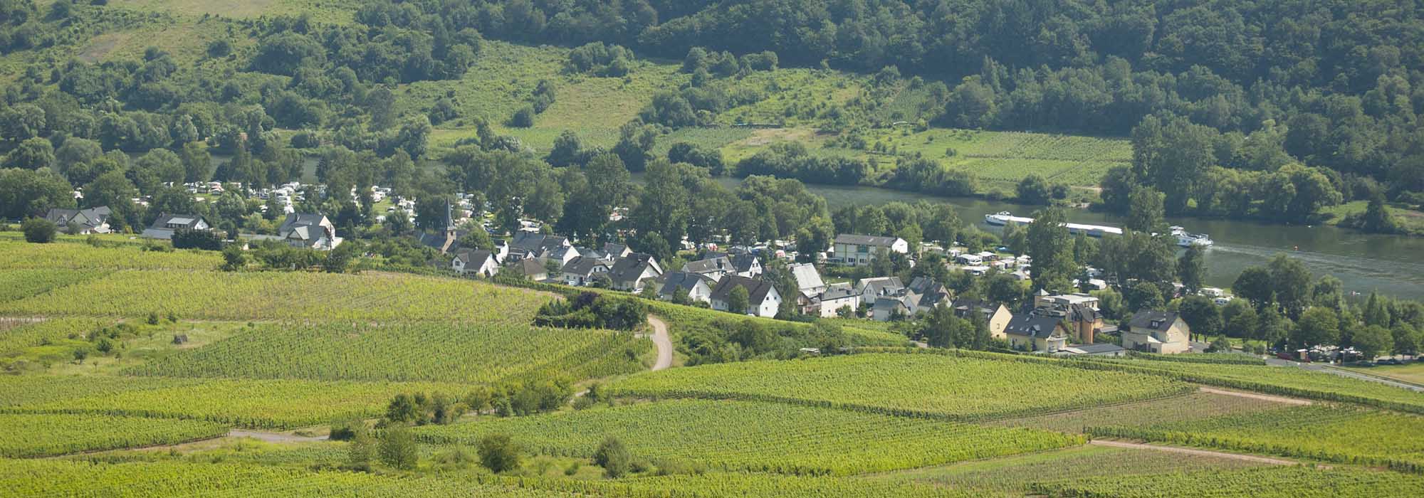 Nehren Mosel