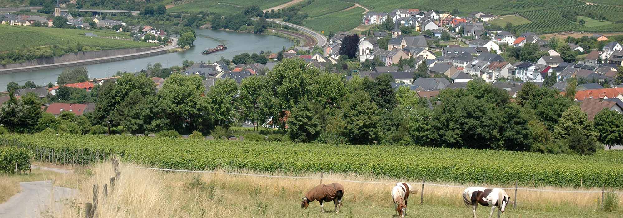 Nittel Mosel