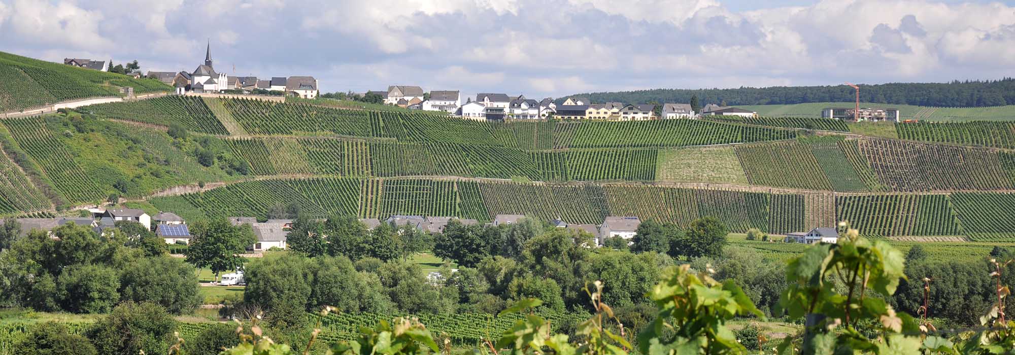 Osann-Monzel Mosel