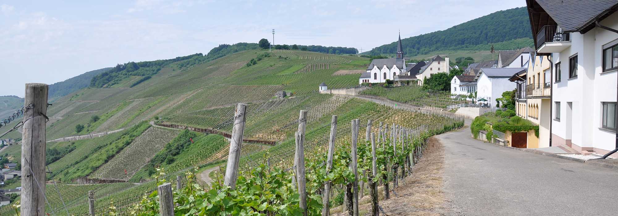 Osann-Monzel Mosel