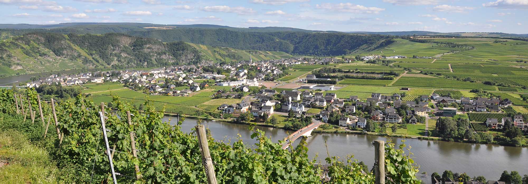 Piesport Mosel Moselschleife