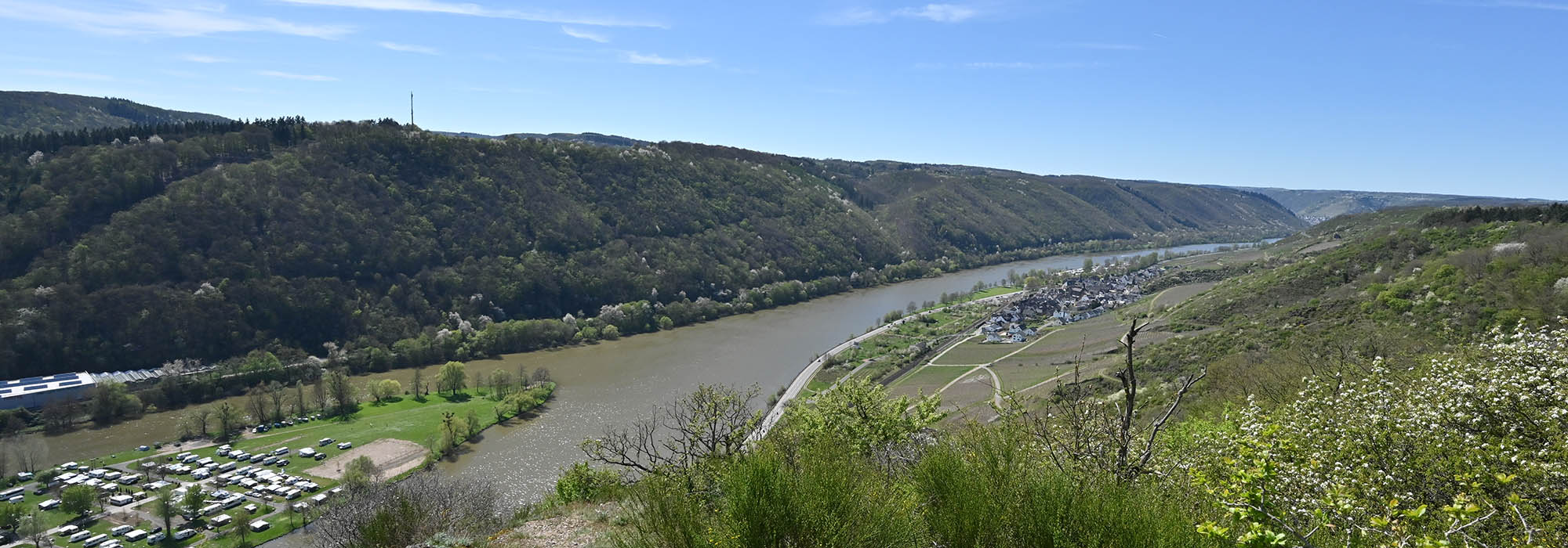Pommern Mosel