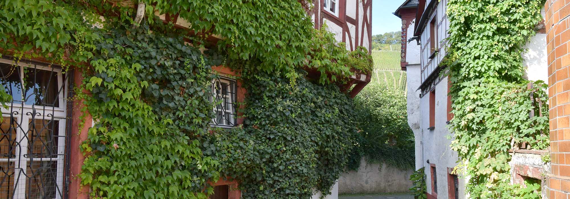 Pünderich Mosel Fachwerkhaus