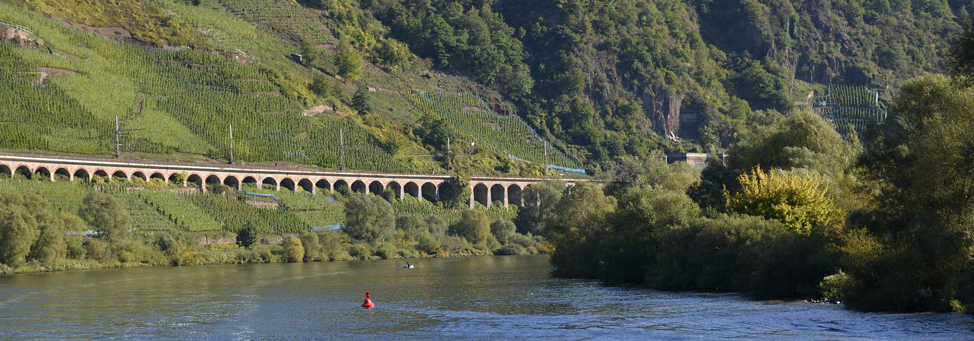Pünderich Mosel Viadukt