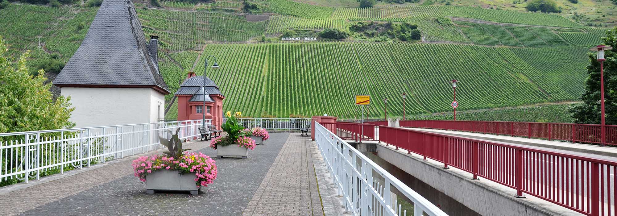Trittenheim Mosel