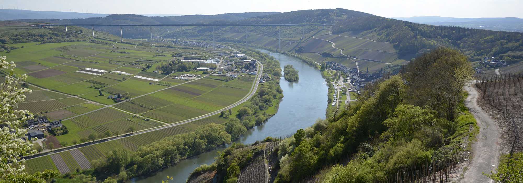 Ürzig Mosel