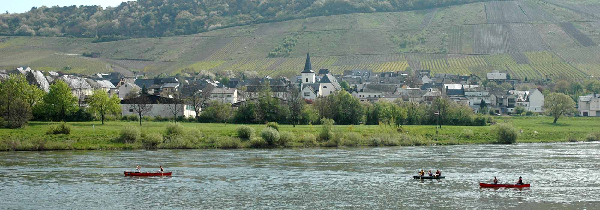 Wintrich Mosel