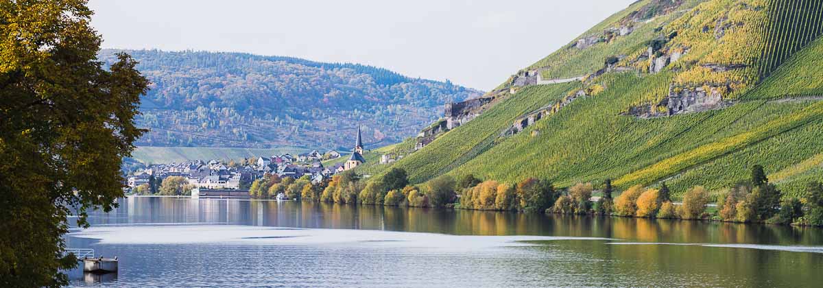 Zeltingen-Rachtig Mosel