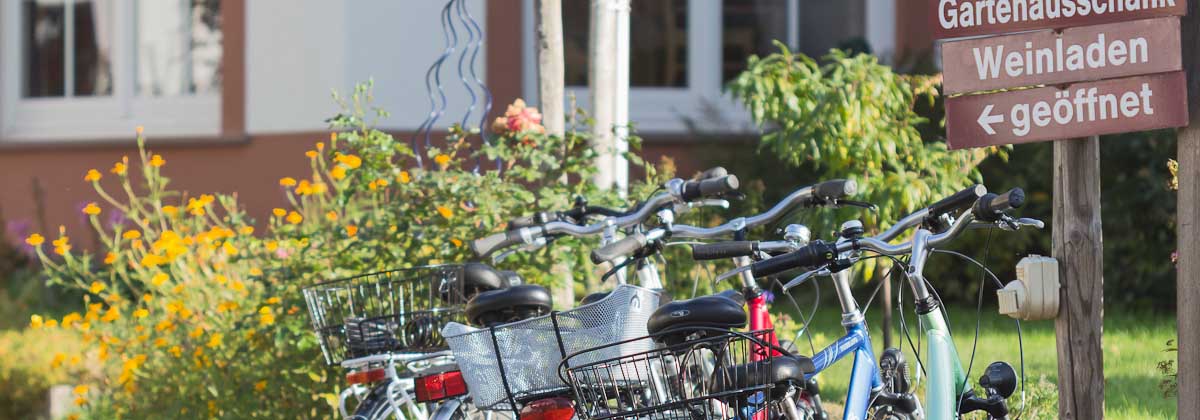 Zeltingen-Rachtig Mosel