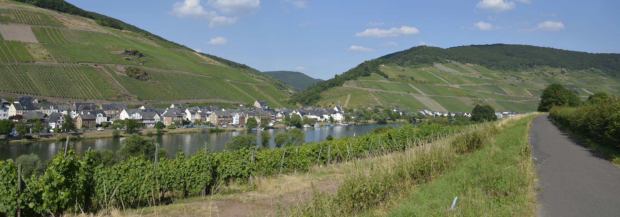 Radwege Mosel
