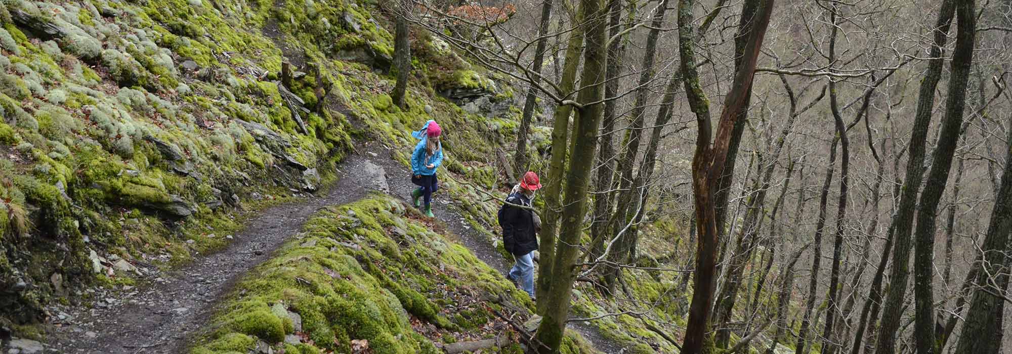 Wanderweg Altlayer Schweiz