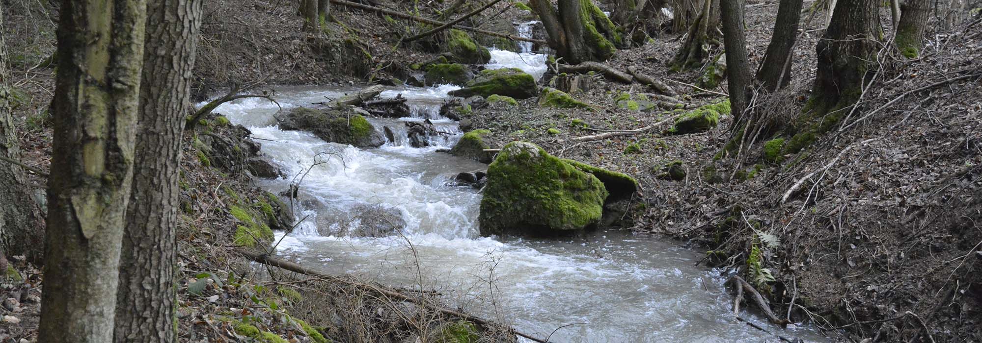 Wanderweg Altlayer Schweiz