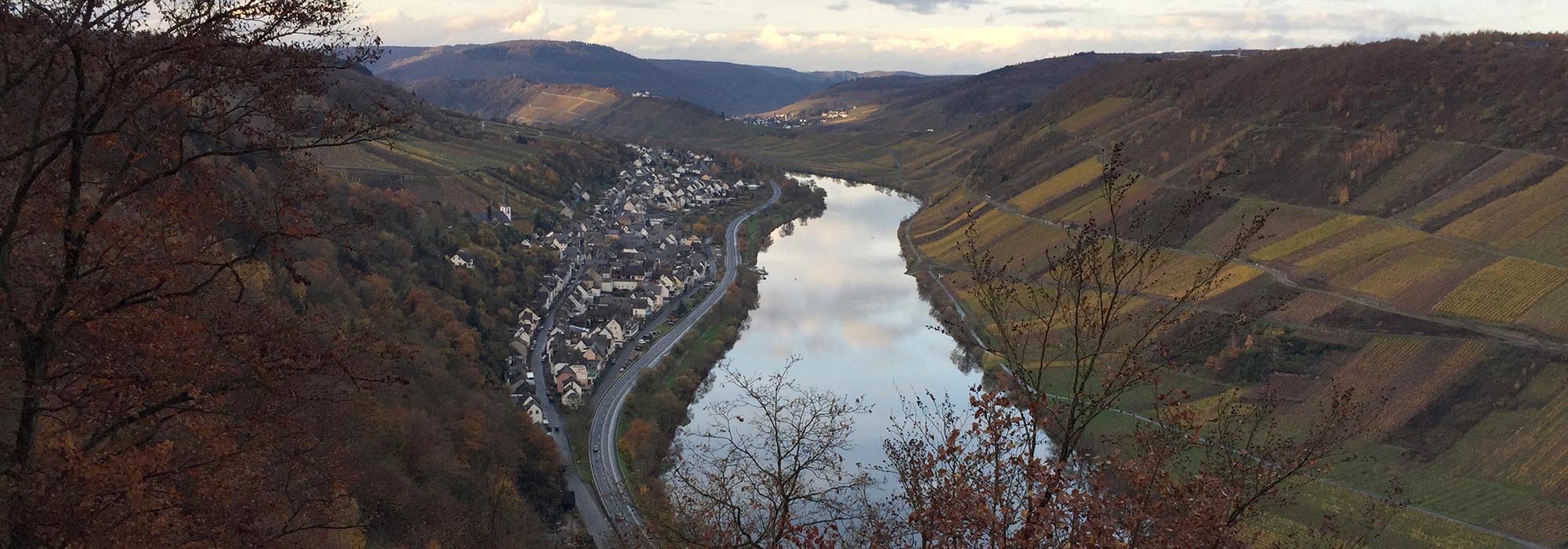 Wanderweg Moselsteig Briedeler Schweiz