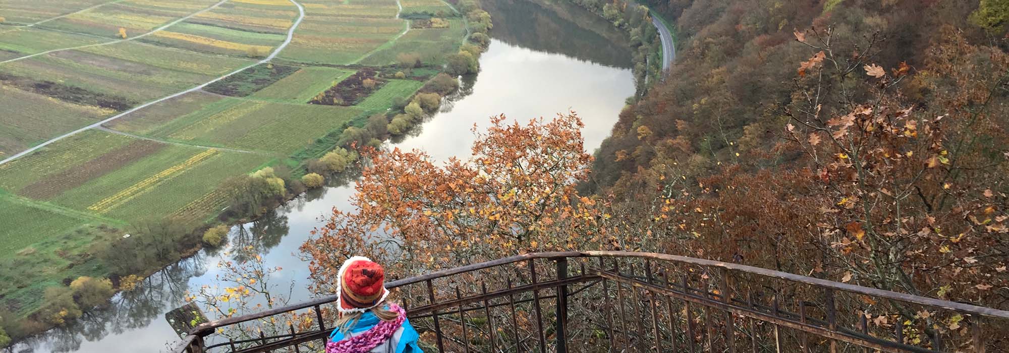 Wanderweg Moselsteig Briedeler Schweiz Hindenburglay