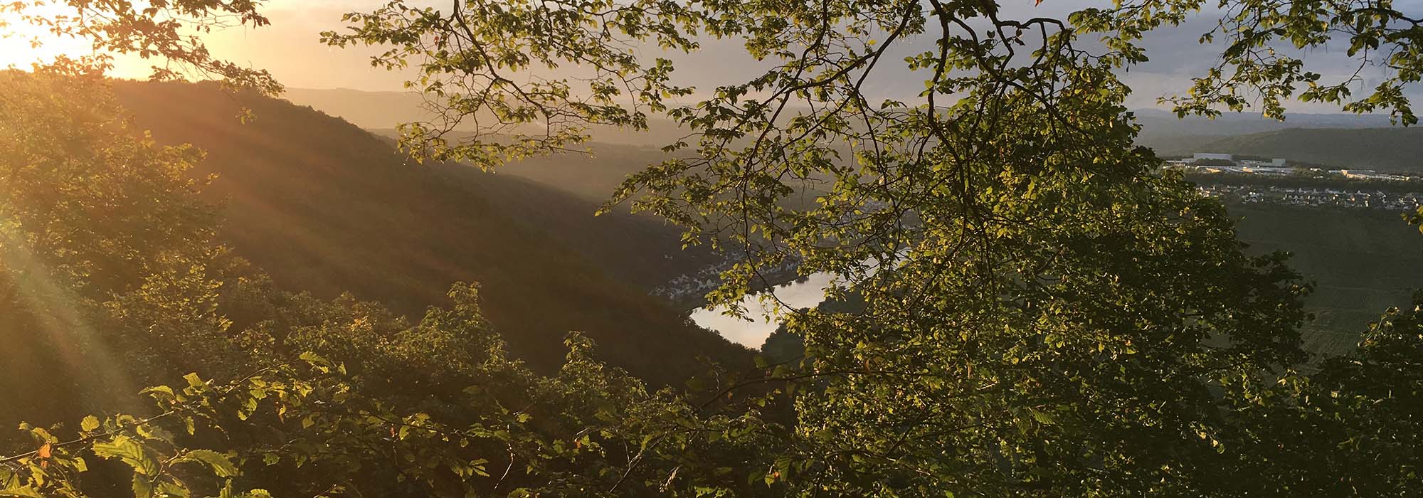 Wanderweg Moselsteig Briedeler Schweiz