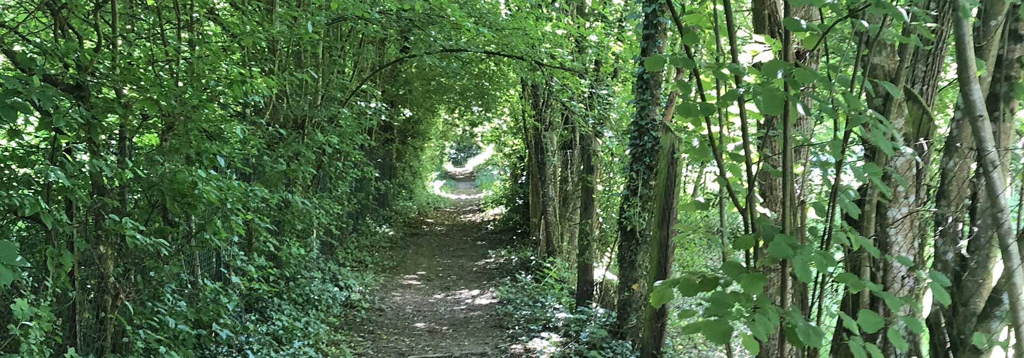 Wanderweg Traben-Trarbach Elfenpfad