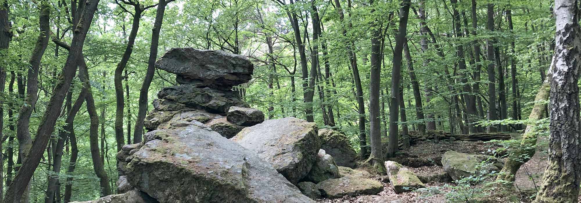 Wanderweg Traben-Trarbach Elfenpfad Bad Wildstein