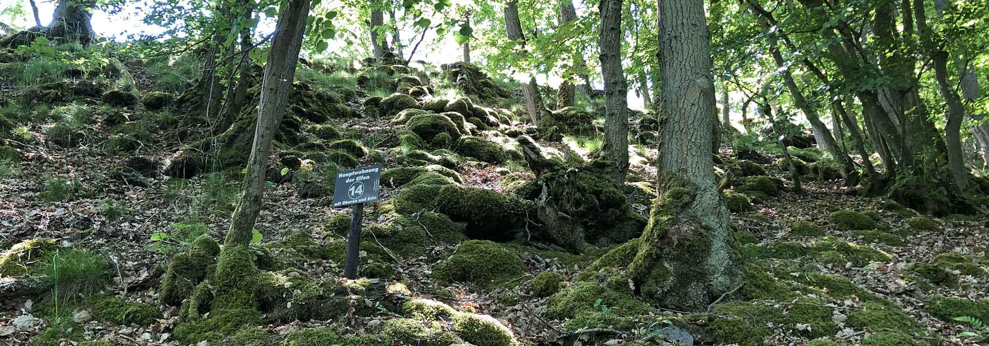 Wanderweg Traben-Trarbach Elfenpfad