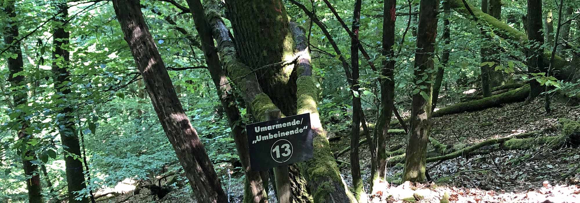 Wanderweg Traben-Trarbach Elfenpfad
