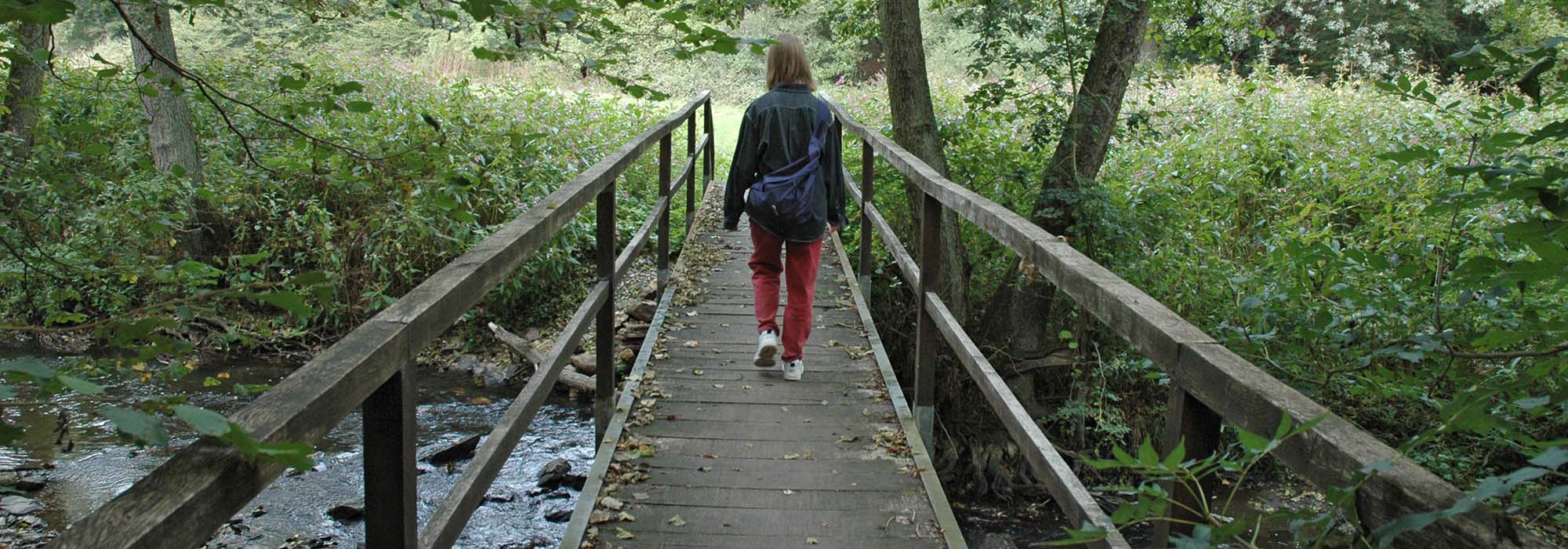 Elzbachtal Moselkern Burg Eltz