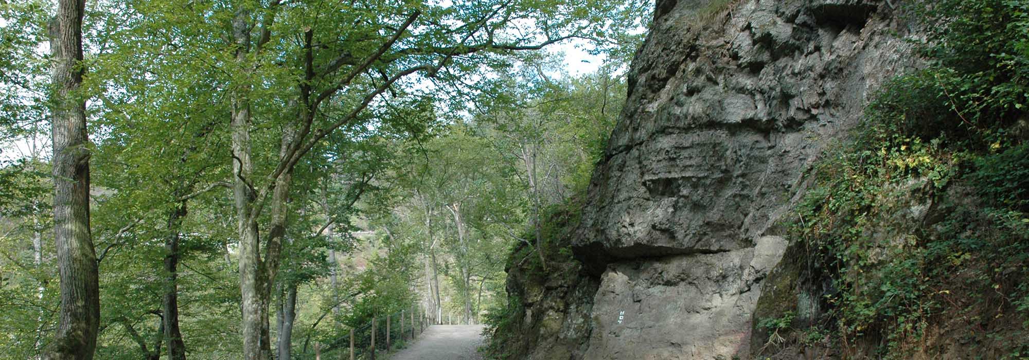 Elzbachtal Moselkern Burg Eltz