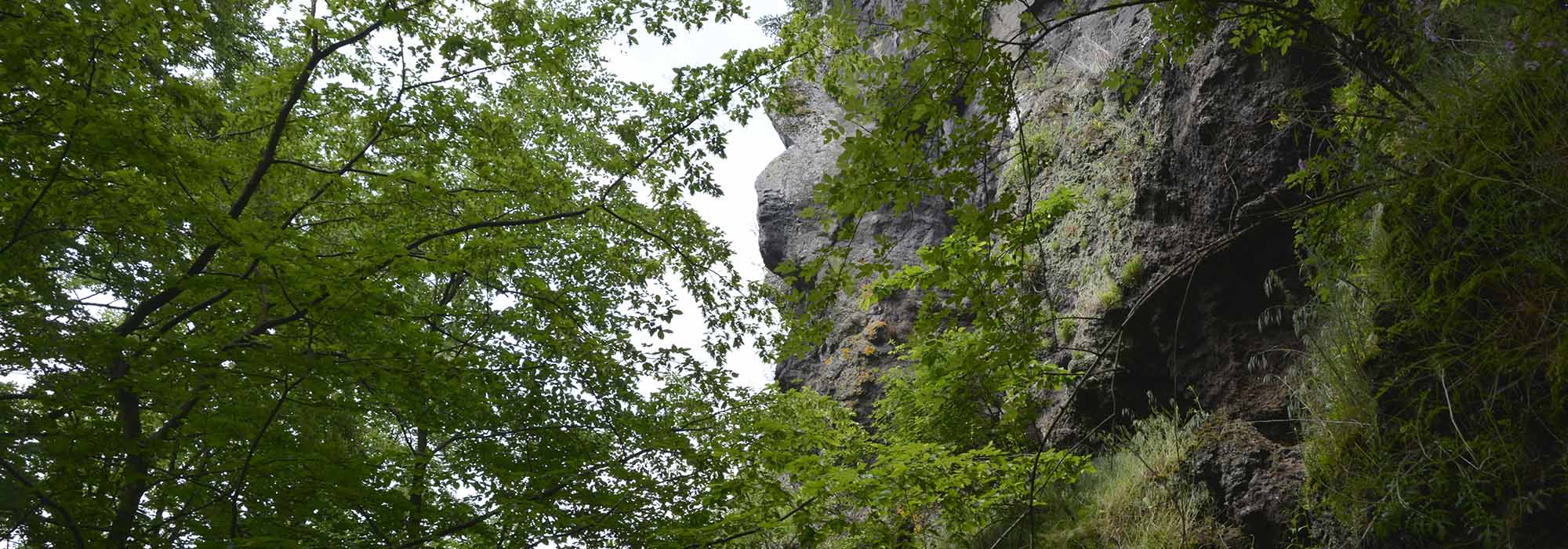 Wanderweg Bad Bertrich GeoRoute