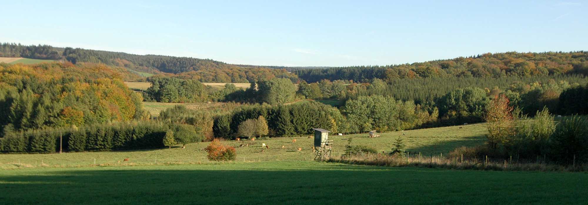 Wanderweg Kirchspiel Kleinich