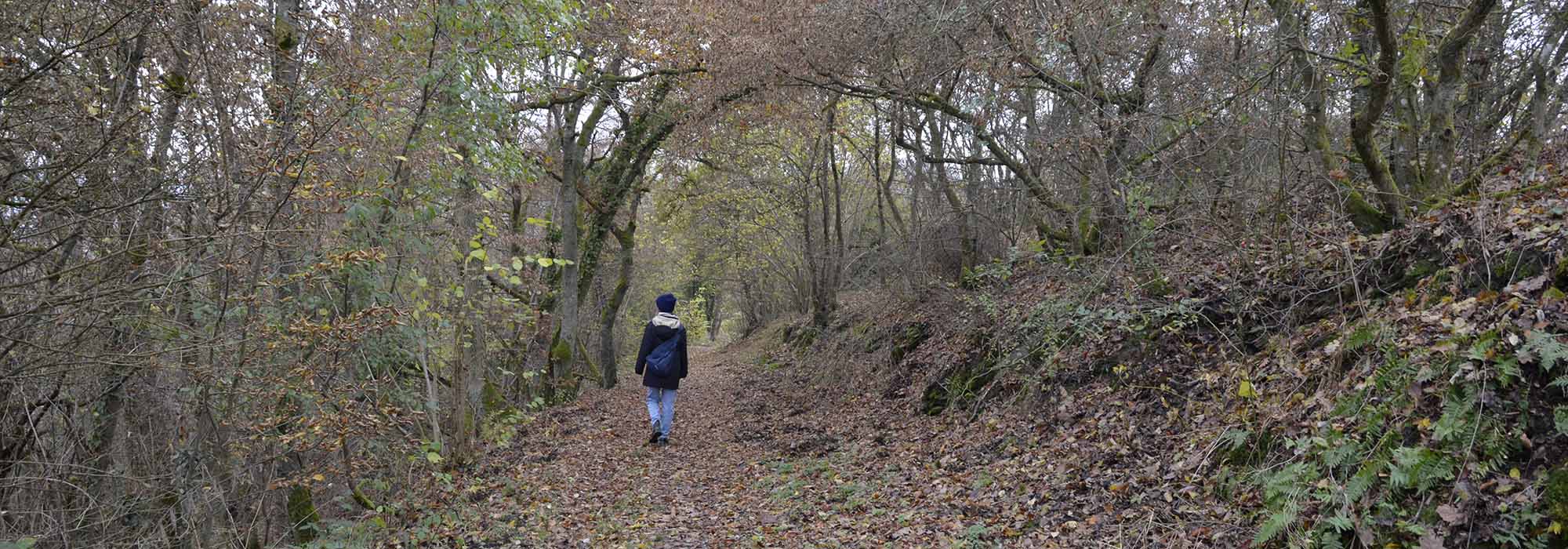 Wanderweg Leiermanspfad