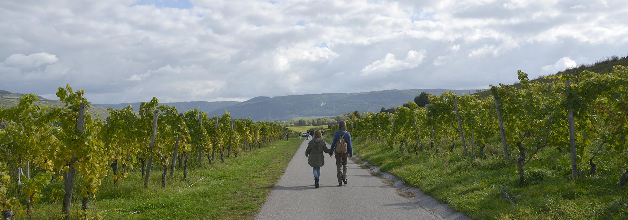 Longuich-Kirch Mosel Wanderweg Loguicher Sauerbrunnen
