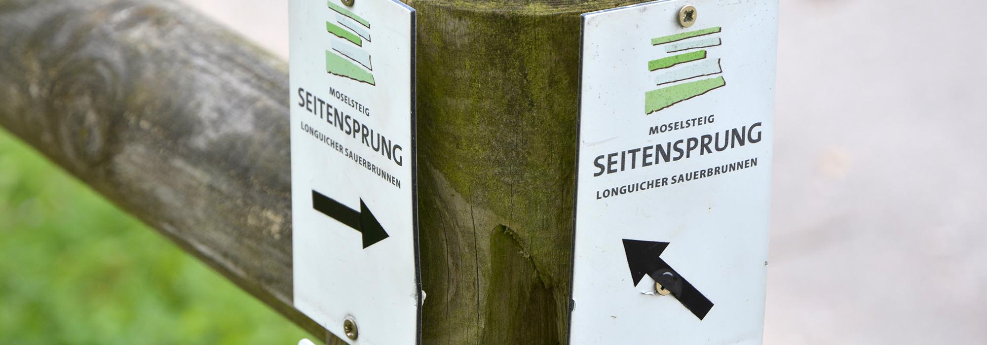 Longuich-Kirch Mosel Wanderweg Loguicher Sauerbrunnen