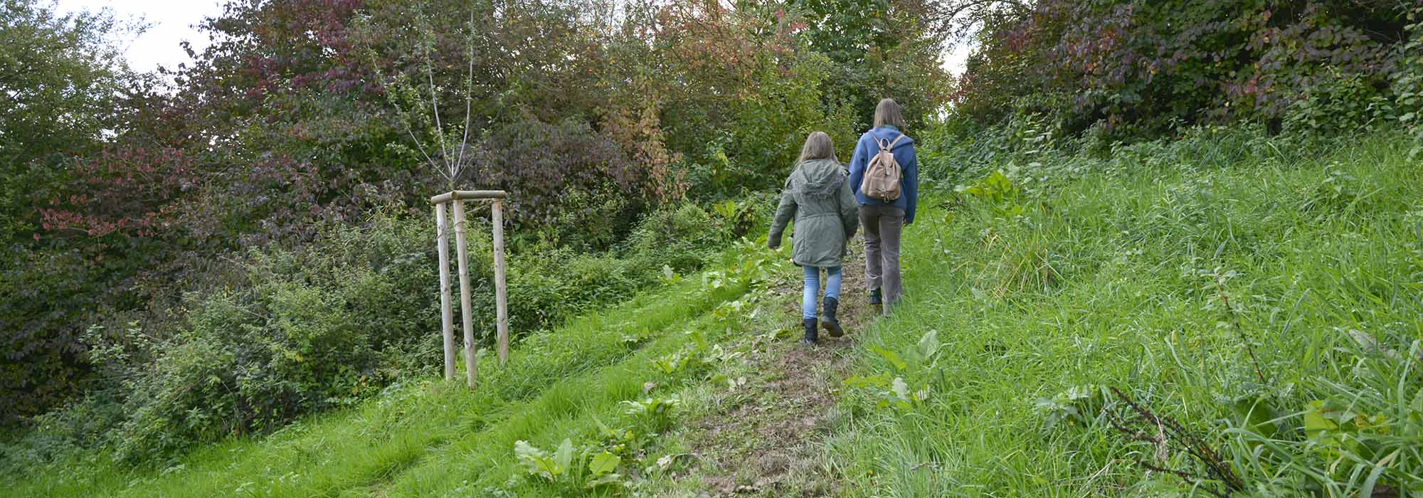 Longuich-Kirch Mosel Wanderweg Loguicher Sauerbrunnen