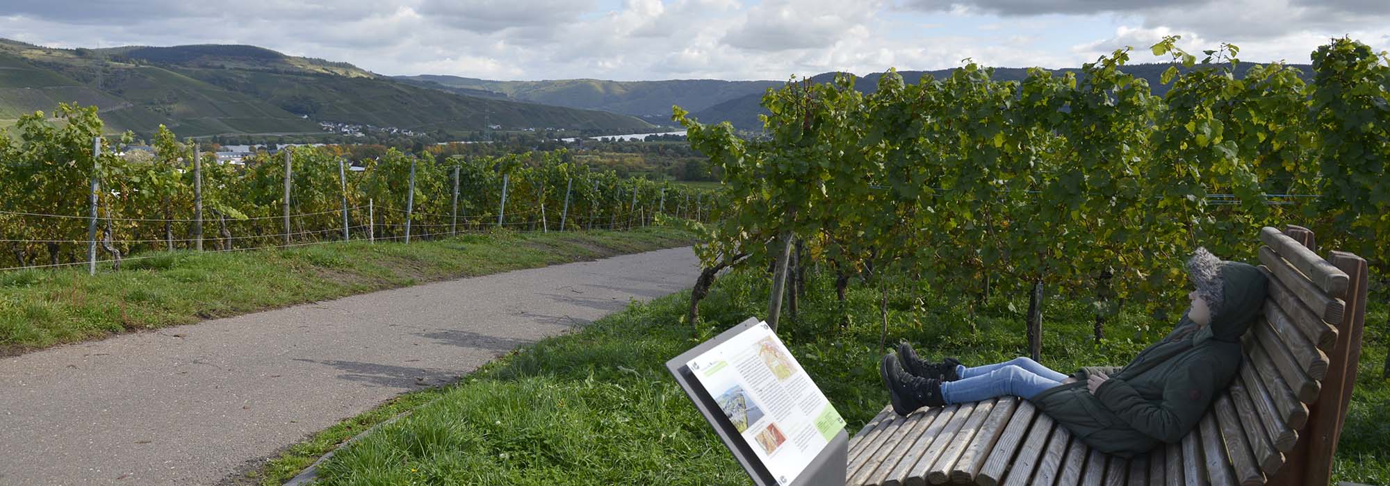 Longuich-Kirch Mosel Wanderweg Loguicher Sauerbrunnen