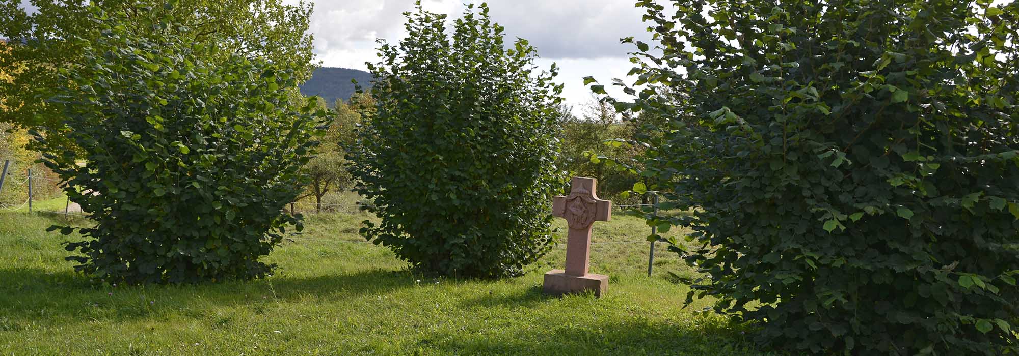 Longuich-Kirch Mosel Wanderweg Loguicher Sauerbrunnen
