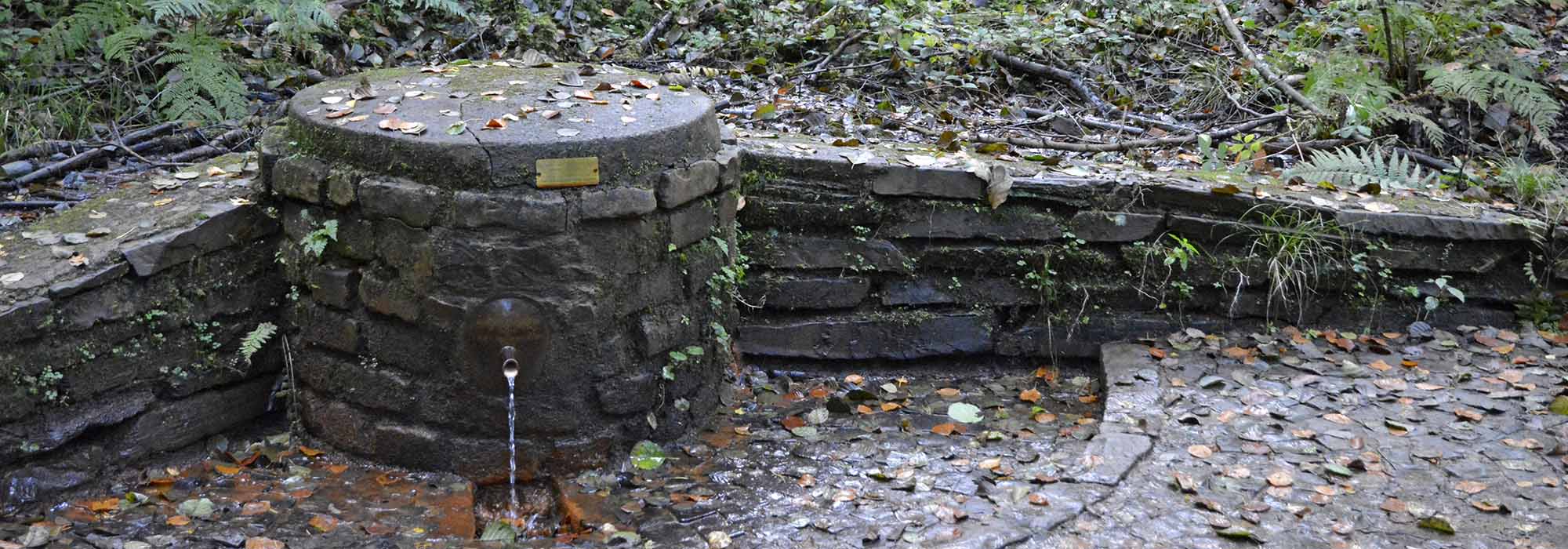 Longuich-Kirch Mosel Wanderweg Loguicher Sauerbrunnen