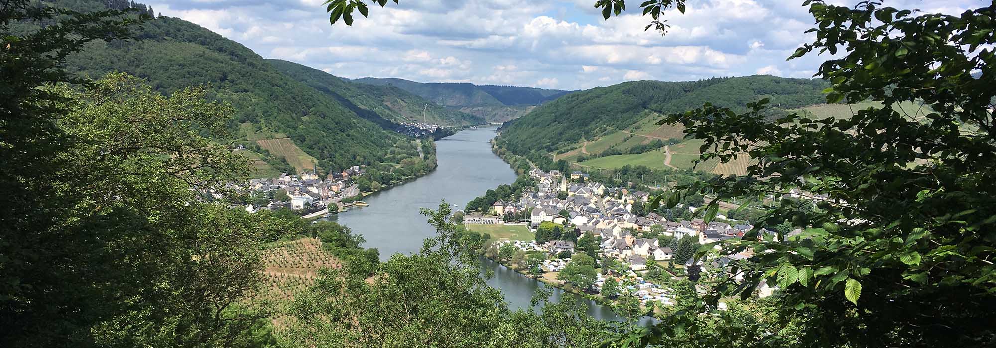 Wanderweg Moselsteig Reil Zell Bullay Alf