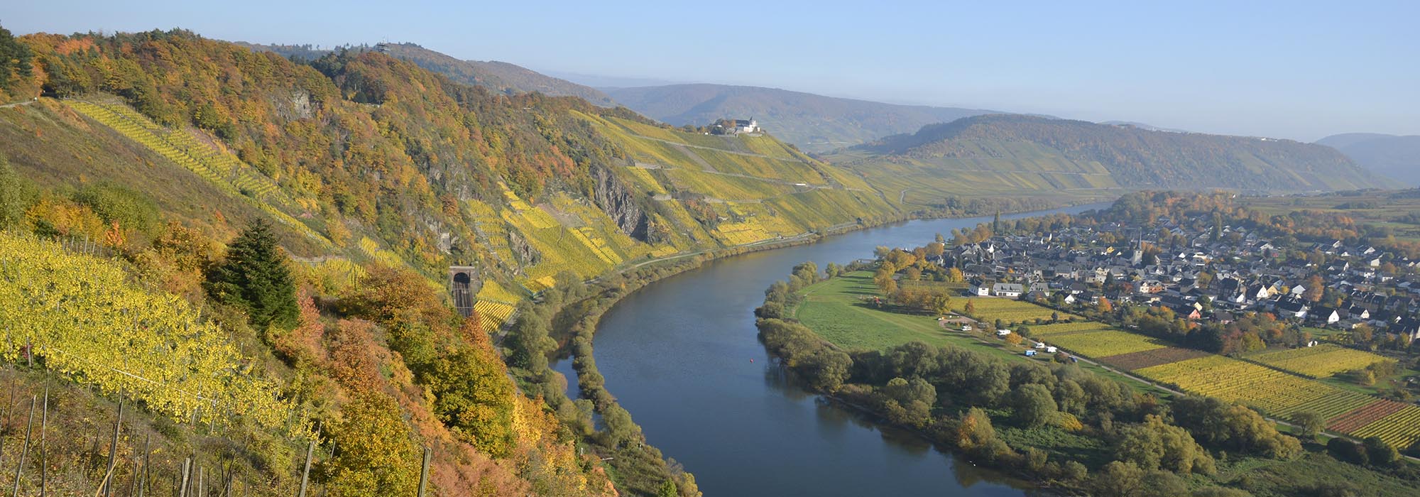 Wanderweg Moselsteig Reil Zell Prinzenkopf