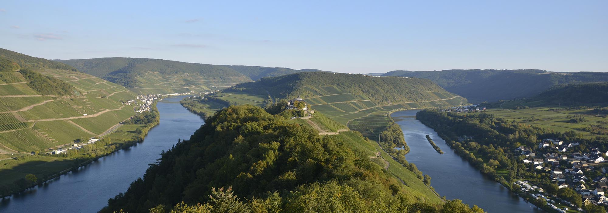 Wanderweg Moselsteig Reil Zell Prinzenkopf
