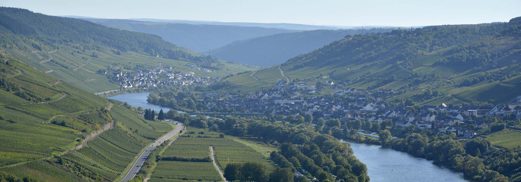 Wanderweg Moselsteig Reil Zell