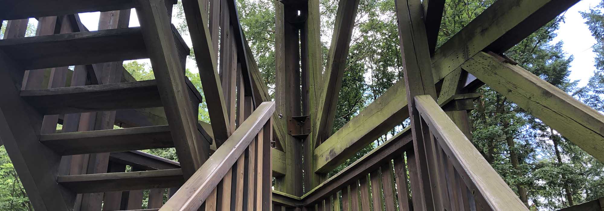 Detzem Mosel Mehringerschweiz Fuenfssenblick mit Aussichtsturm