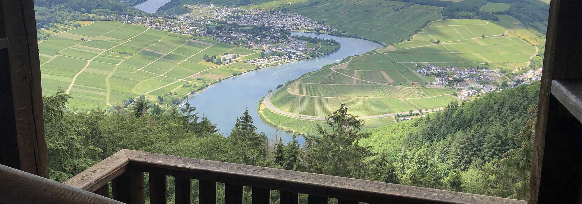 Detzem Mosel Mehringerschweiz Fuenfssenblick mit Aussichtsturm