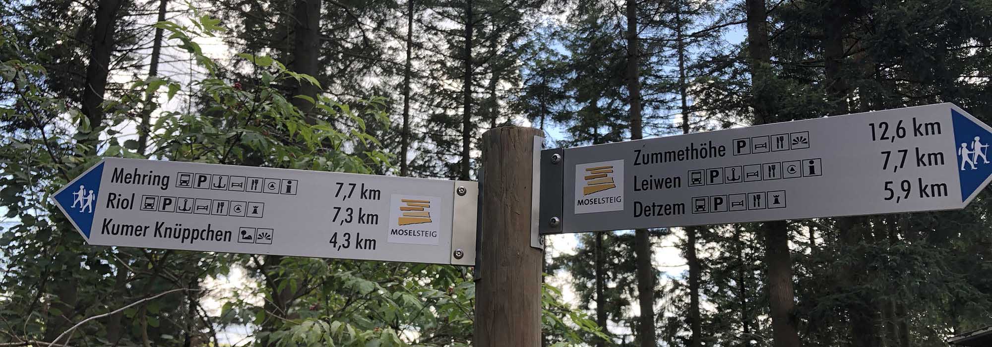 Detzem Mosel Mehringerschweiz Fuenfssenblick mit Aussichtsturm