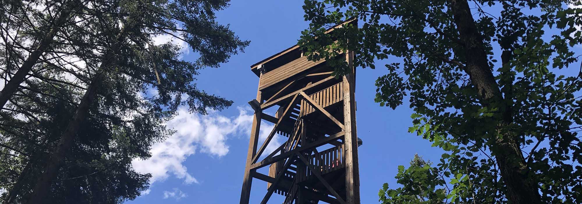 Detzem Mosel Mehringerschweiz Fuenfssenblick mit Aussichtsturm