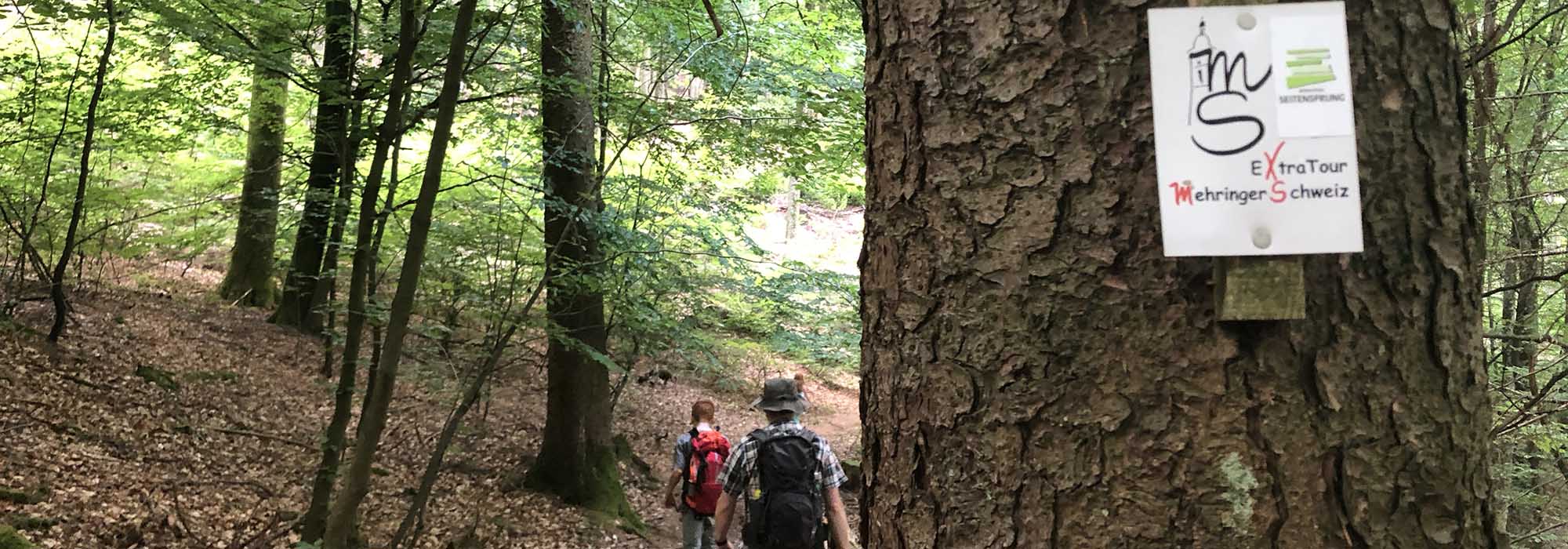 Detzem Mosel Mehringerschweiz Fuenfssenblick Wanderweg