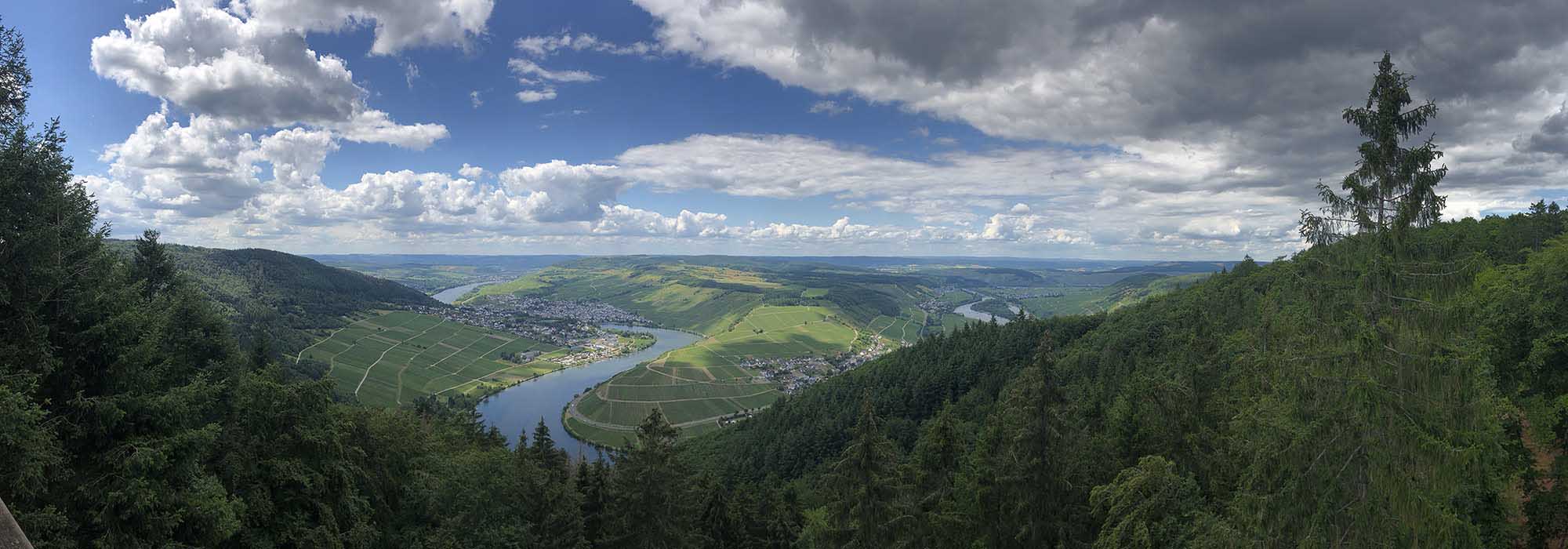 Detzem Mosel Mehringerschweiz Fuenfssenblick mit Aussichtsturm