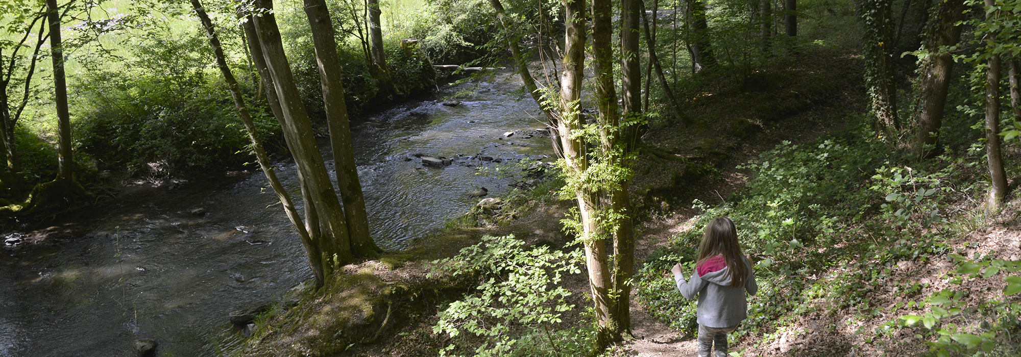 Pyrmonter Felsensteig