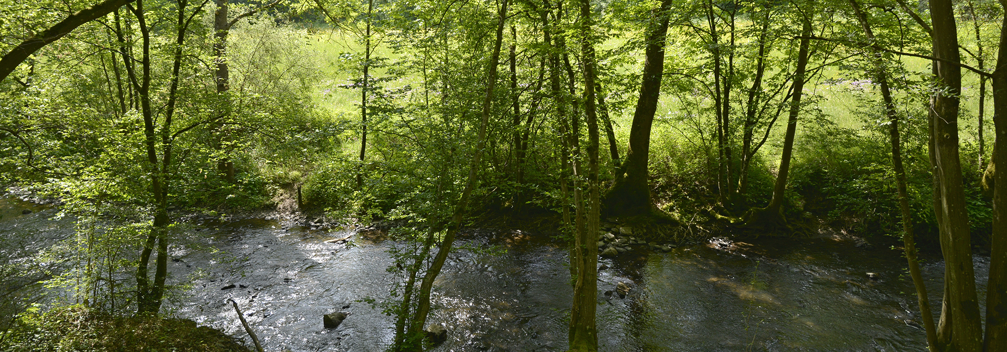 Pyrmonter Felsensteig